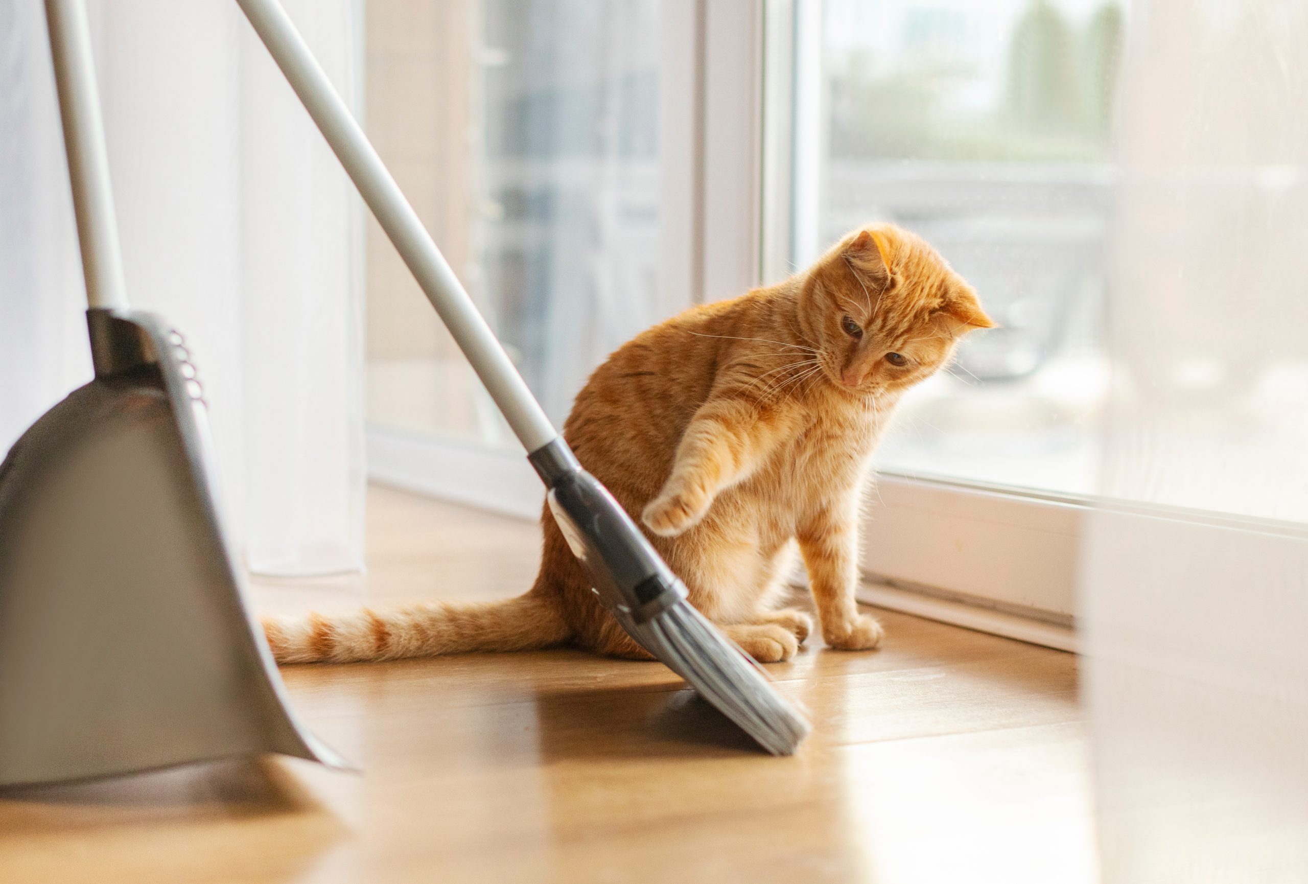 hulp bij dagelijkse activiteiten