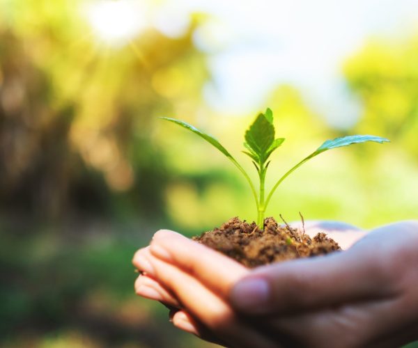 zorgprofessional in regio udenhout